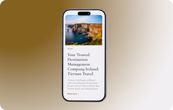Santos Digital Projects - Tiernan Travel 3